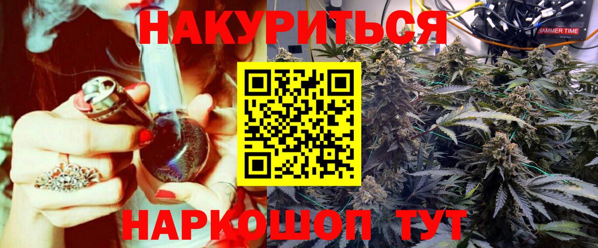 Конопля гибрид Сосновоборск